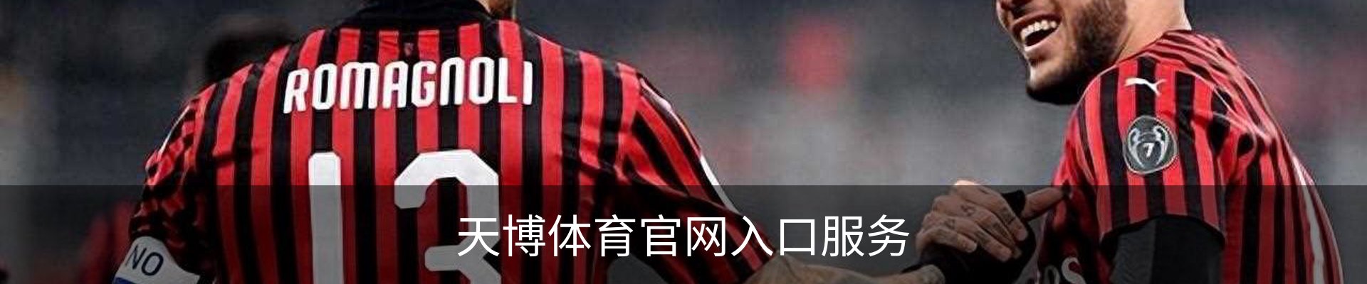 天博体育官网入口服务