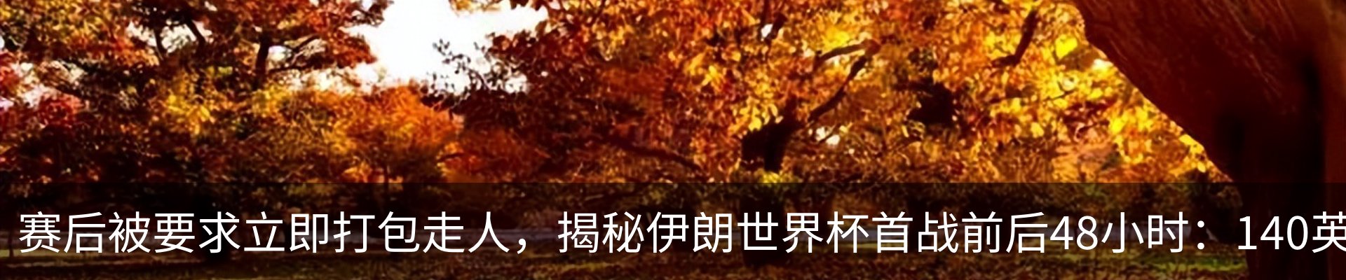 新闻中心